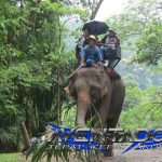 Prediksi Togel HK 20 Mei 2025