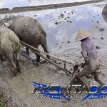 Prediksi Togel HK 25 Mei 2025