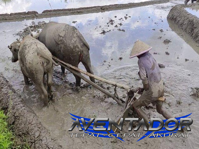 Prediksi Togel HK 25 Mei 2025