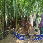 Prediksi Togel SDY 2 Mei 2025