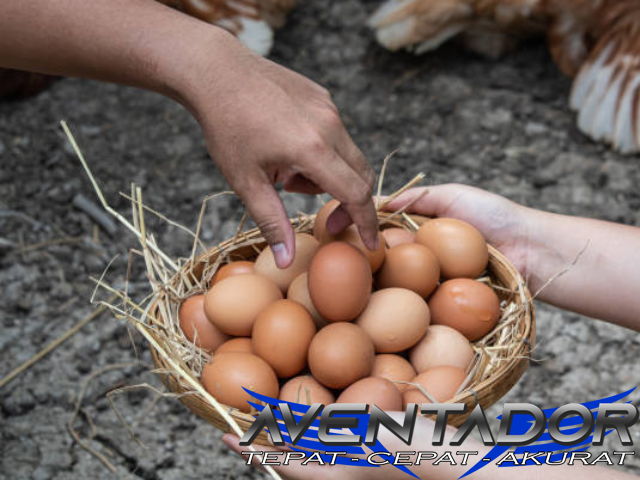 Prediksi Togel HK 12 Juli 2025