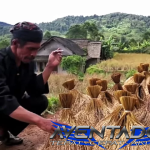 Prediksi Togel SDY 10 Juni 2025