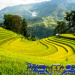 Prediksi Togel HK 22 Agustus 2025