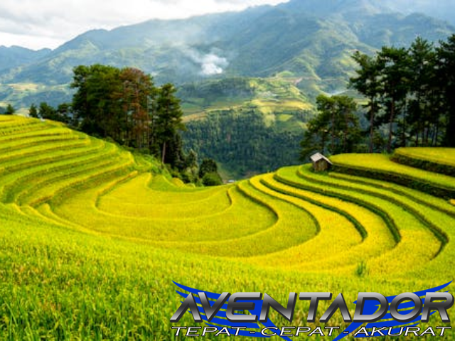 Prediksi Togel HK 22 Agustus 2025