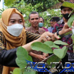 Prediksi Togel HK 27 Juli 2025