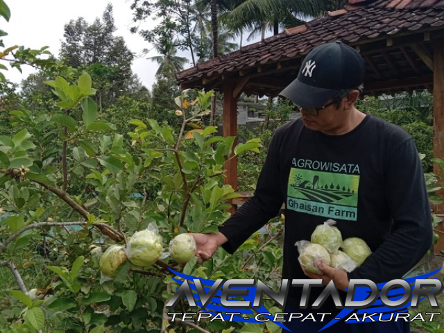 Prediksi Togel HK 15 September 2025