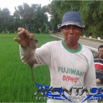 Prediksi Togel HK 26 September 2025