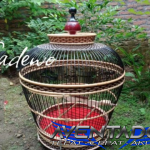 Prediksi Togel SDY 15 September 2025