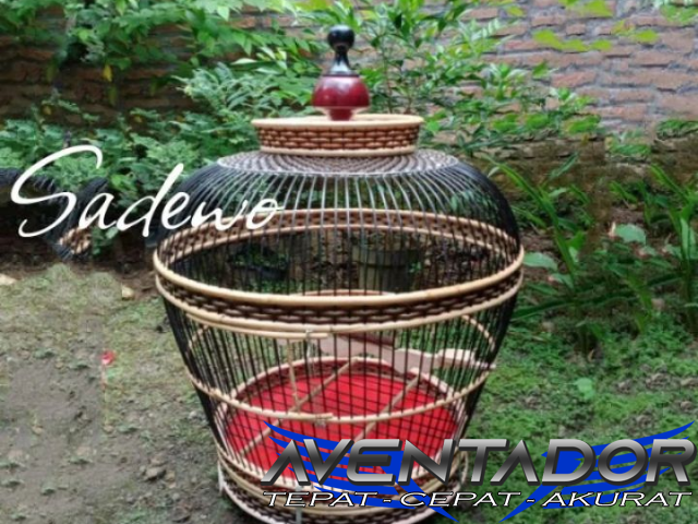 Prediksi Togel SDY 15 September 2025