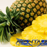 Prediksi Togel HK 21 Oktober 2025