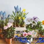 Prediksi Togel SDY 22 Oktober 2025