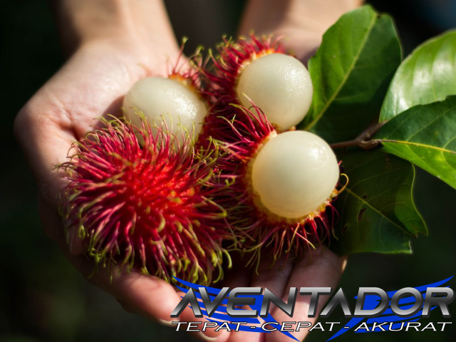 Prediksi Togel SDY 27 Oktober 2025