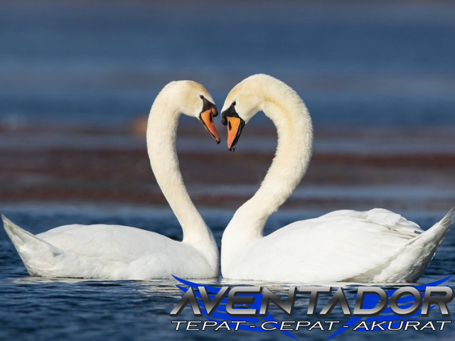 Prediksi Togel SDY 29 Oktober 2025