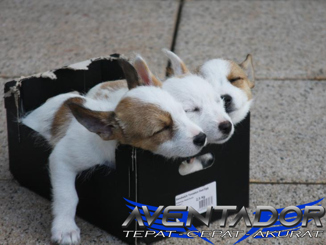 Prediksi Togel SDY 30 Oktober 2025