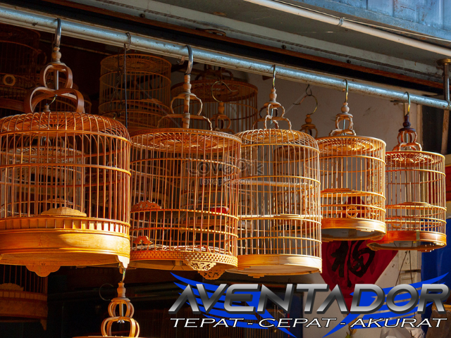 Prediksi Togel HK 22 November 2025