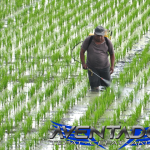 Prediksi Togel HK 23 November 2025