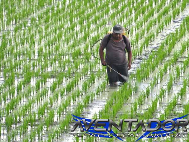 Prediksi Togel HK 23 November 2025