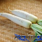 Prediksi Togel HK 30 November 2025