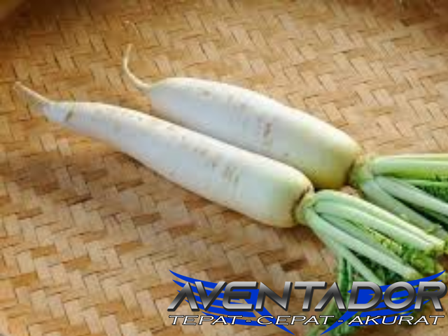 Prediksi Togel HK 30 November 2025