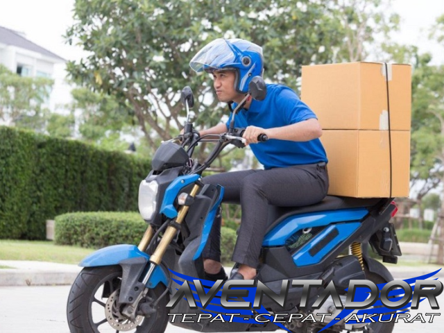 Prediksi Togel SDY 1 November 2025