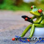 Prediksi Togel SDY 26 November 2025