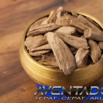 Prediksi Togel SGP 12 November 2025