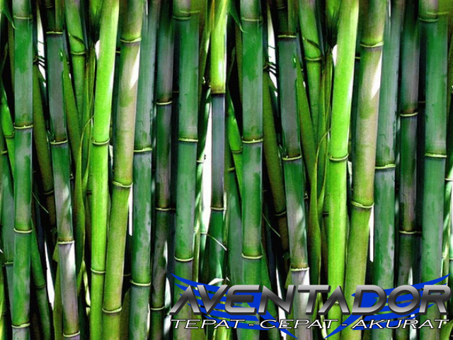 Prediksi Togel SGP 19 November 2025