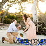 Prediksi Togel SGP 23 November 2025