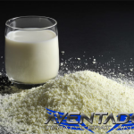 Prediksi Togel SGP 29 November 2025