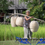 Prediksi Togel HK 6 Desember 2025