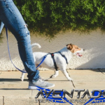 Prediksi Togel SDY 4 Desember 2025