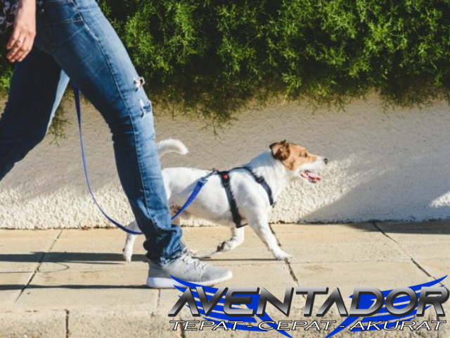 Prediksi Togel SDY 4 Desember 2025