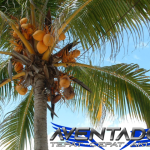 Prediksi Togel SDY 7 Desember 2025