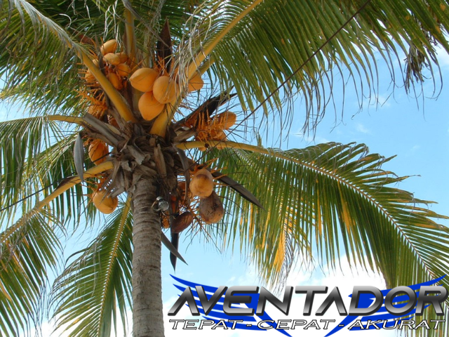 Prediksi Togel SDY 7 Desember 2025