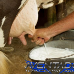 Prediksi Togel SGP 7 Desember 2025