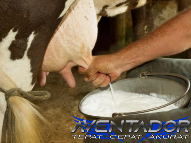 Prediksi Togel SGP 7 Desember 2025