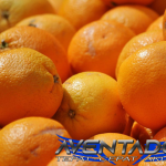 Prediksi Togel HK 16 Desember 2025