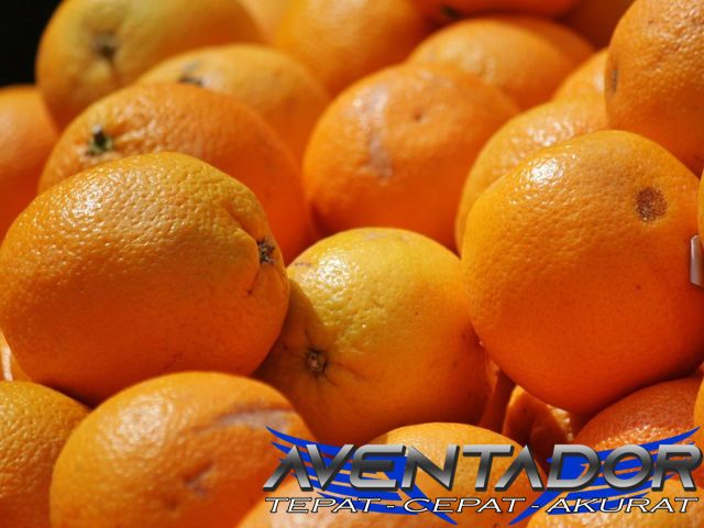 Prediksi Togel HK 16 Desember 2025