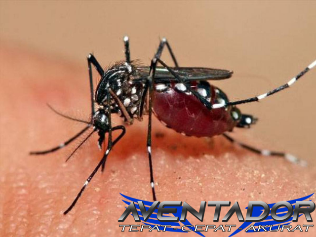 Prediksi Togel HK 22 Desember 2025