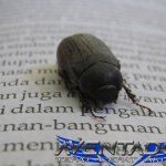 Prediksi Togel HK 8 Desember 2025