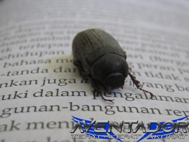 Prediksi Togel HK 8 Desember 2025