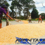 Prediksi Togel SDY 10 Desember 2025