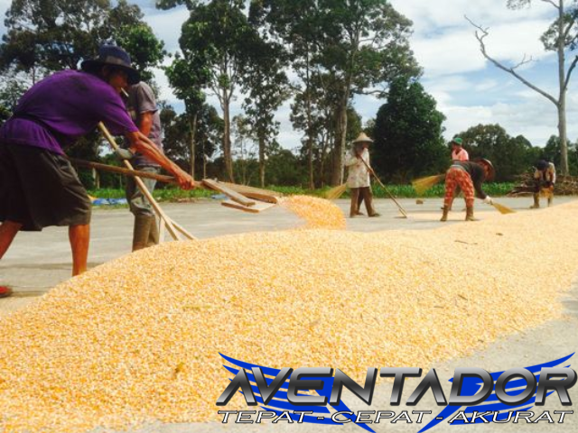 Prediksi Togel SDY 10 Desember 2025