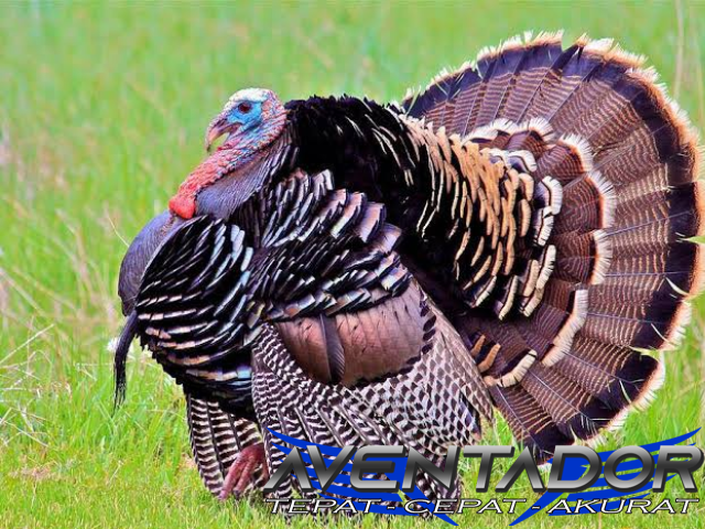 Prediksi Togel SDY 12 Desember 2025