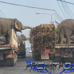 Prediksi Togel SDY 20 Desember 2025