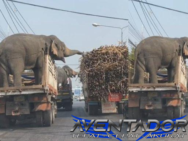 Prediksi Togel SDY 20 Desember 2025