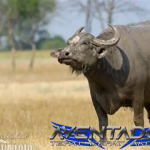 Prediksi Togel SDY 30 Desember 2025