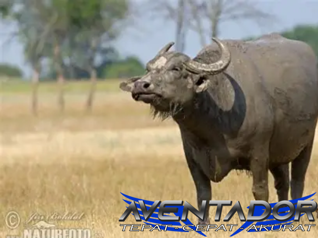 Prediksi Togel SDY 30 Desember 2025