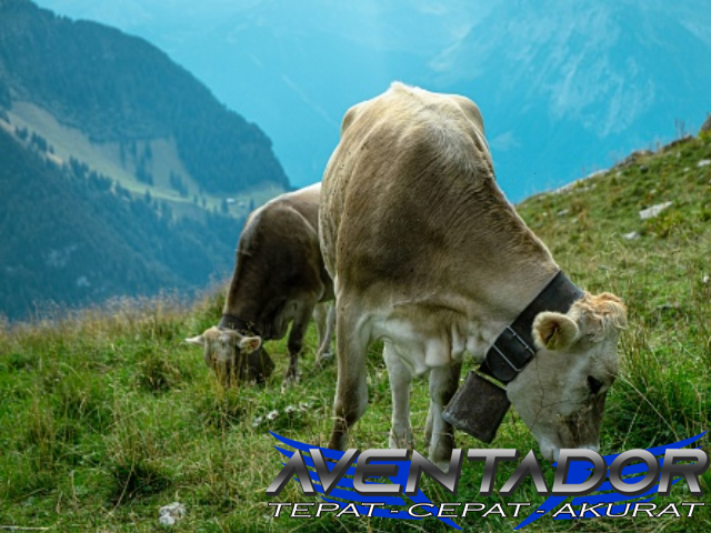 Prediksi Togel SDY 9 Desember 2025