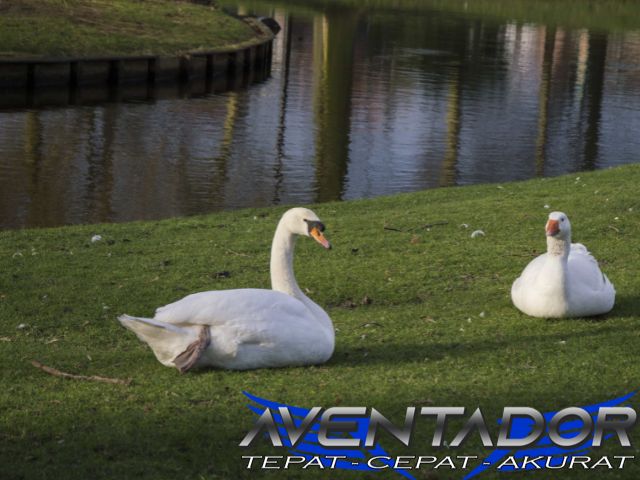 Prediksi Togel SGP 11 Desember 2025